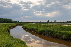 20190523 - Langs de Nete