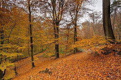 20191124 - Koningsvijvers Hoeilaart