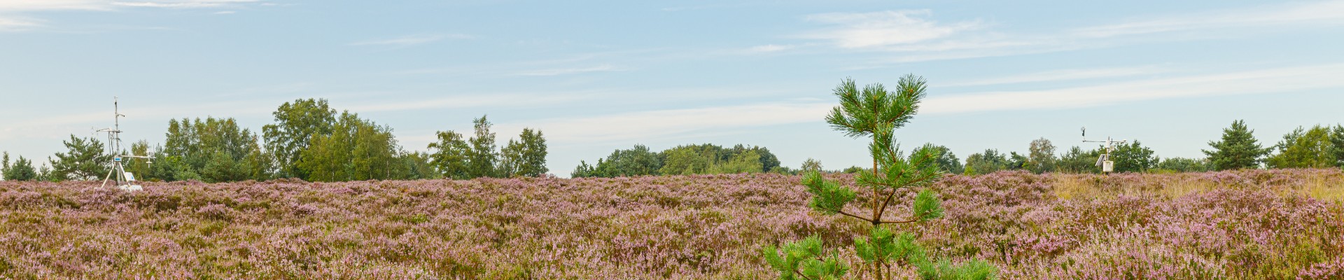 20200817 - Mechelse Heide