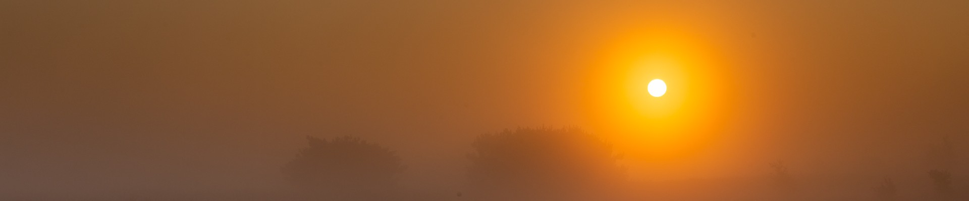 20210903 - Strabrechtse Heide