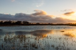 20211211 - Uitkerkse Polders