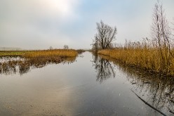 20220115 - Bourgoyen-Ossemeersen