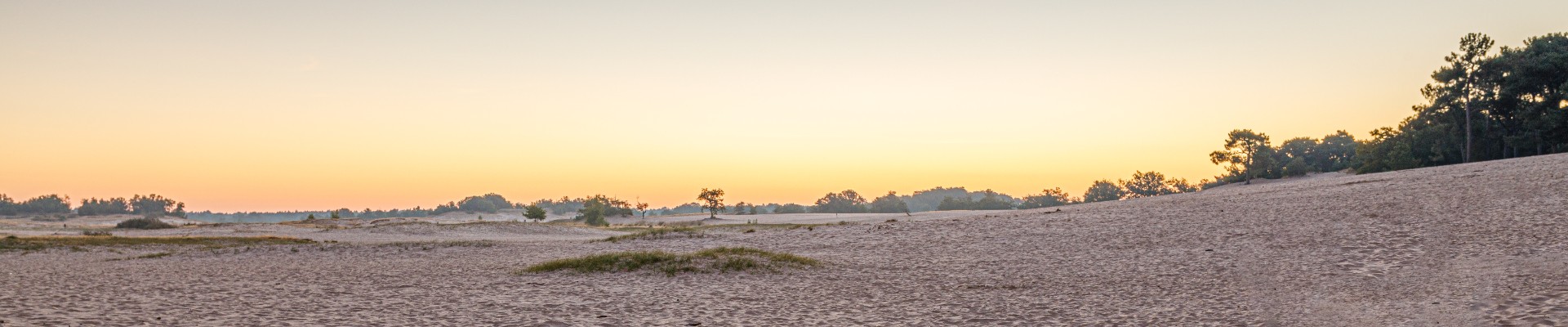 20220809 - Loonse en Drunense Duinen