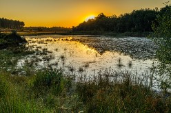 20220813 - De Teut Zonhoven