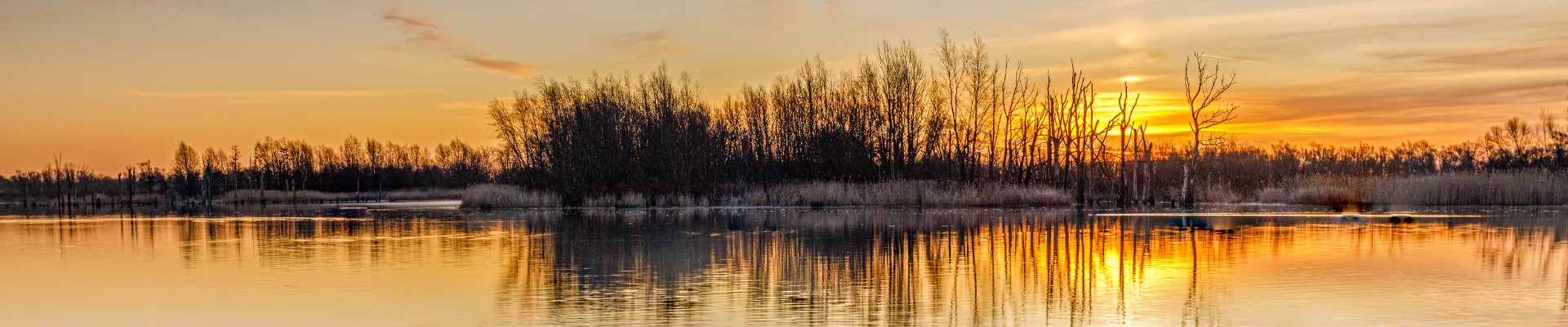 20230311 - Biesbosch - Werkendam