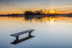 20230311 - Biesbosch - Werkendam