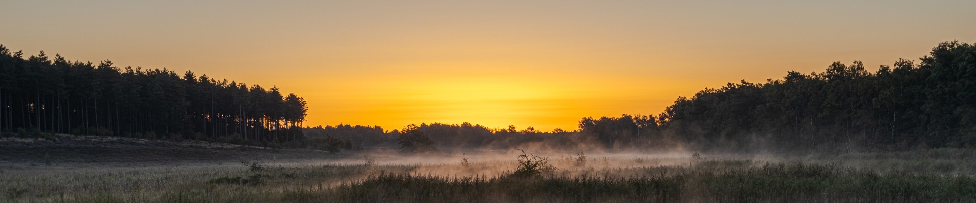 20230811 - De Teut Zonhoven