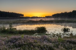 20230811 - De Teut Zonhoven