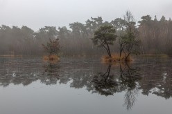 20231207 - Oisterwijkse vennen