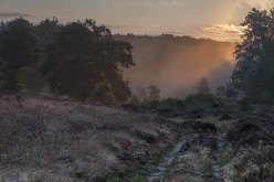 20240824 - Mechelse Heide