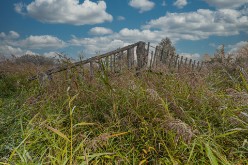 20240921 - Hageven Pelt