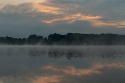 20241004 - Eijsder Beemden