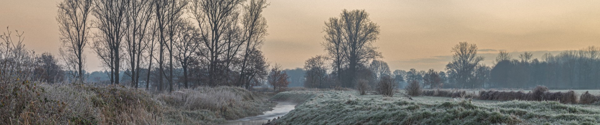 20241129 - Int Maartensheide De Luysen